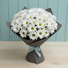 Букет цветов из:  Хризантемы #REPLACE_PRED# Карабаново