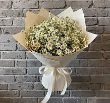 Букет цветов из:  Ромашки #REPLACE_PRED# Карабаново