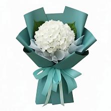 Букет цветов из:  Гортензия в Карабаново